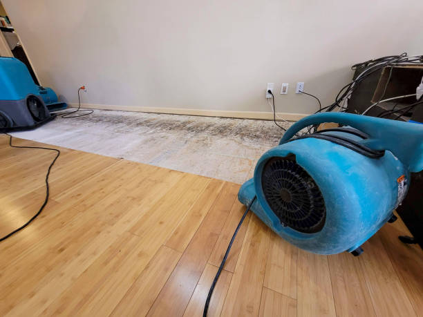 Professional Structural Drying technician working in Cranesville, PA
